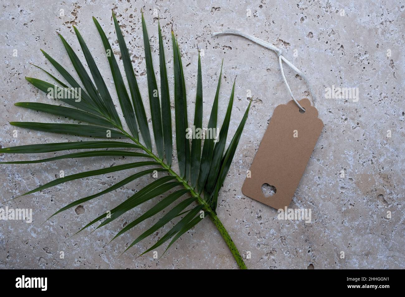 arrière-plan avec étiquette cadeau vierge avec frondes de palmier sur une dalle de pierre Banque D'Images