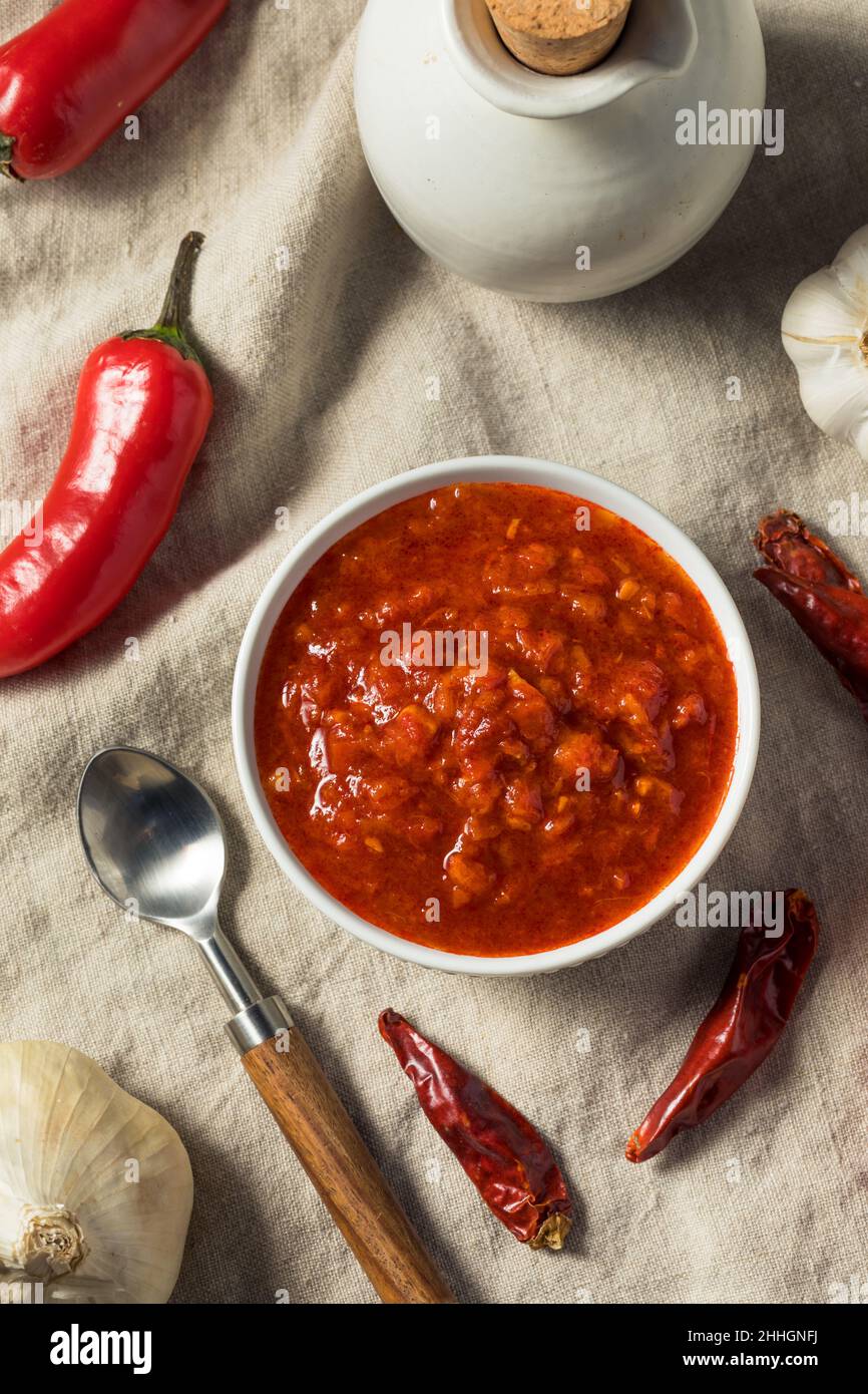 Pâte de Harissa rouge biologique maison dans un bol Banque D'Images