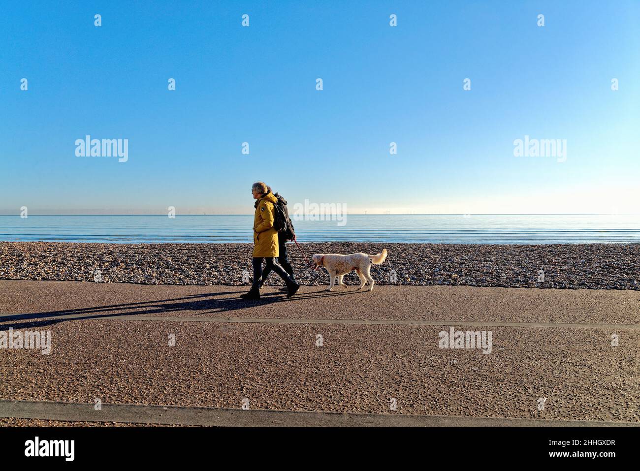 Couple marchant un chien sur un front de mer vide de Worthing pendant une journée hivernale froide et ensoleillée avec un ciel bleu et la mer en arrière-plan West Sussex Angleterre Royaume-Uni Banque D'Images