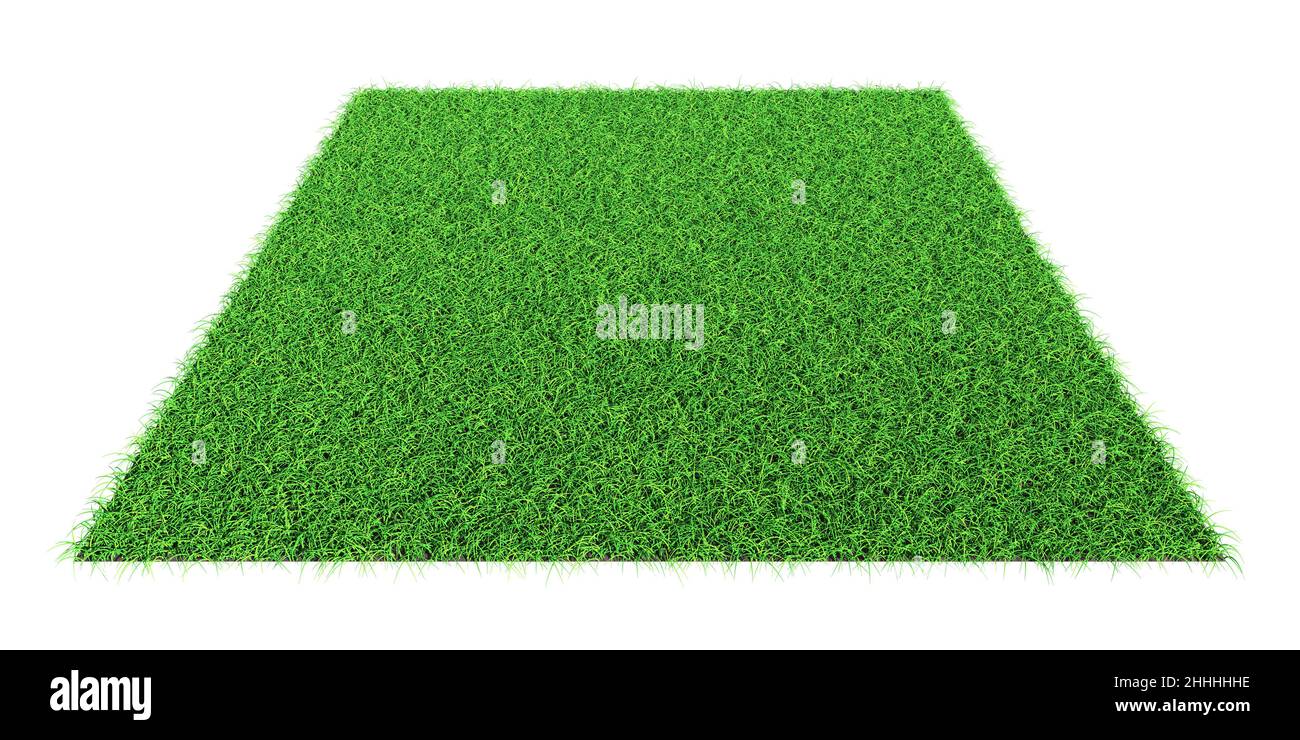 Forme de l'herbe - élément de conception isolé - rendu 3D Banque D'Images