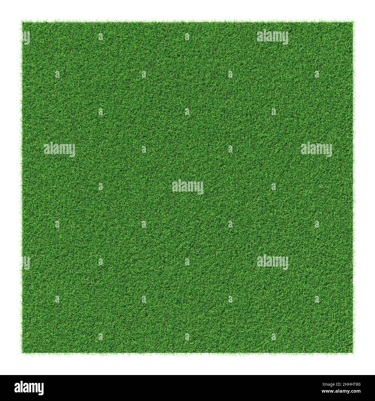 Forme de l'herbe - élément de conception isolé - rendu 3D Banque D'Images