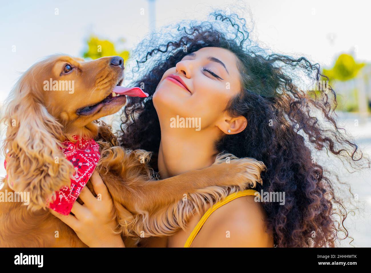 belle femme de course mixrd avec maquillage et style de cheveux bouclés passer des temps heureux avec son chien de coq américain d'or de cite à la journée ensoleillée dans la rue Banque D'Images