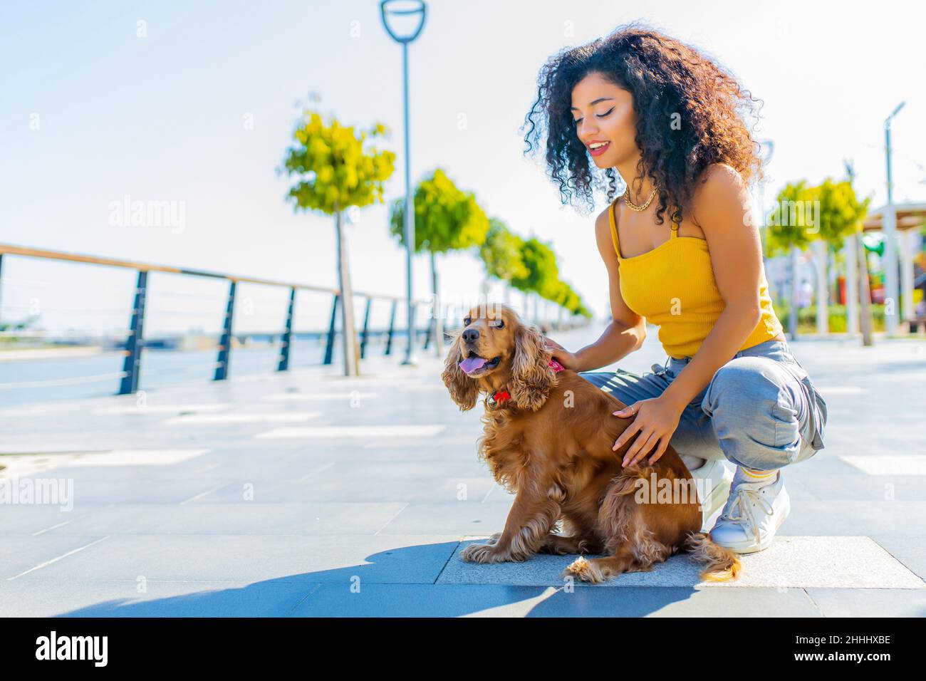 belle femme de course mixrd avec maquillage et style de cheveux bouclés passer des temps heureux avec son chien de coq américain d'or de cite à la journée ensoleillée dans la rue Banque D'Images