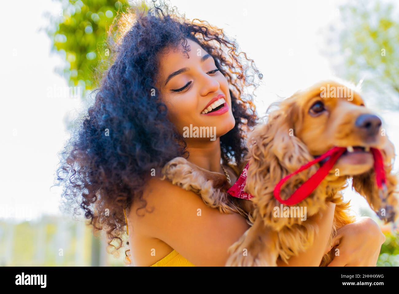 belle femme de course mixrd avec maquillage et style de cheveux bouclés passer des temps heureux avec son chien de coq américain d'or de cite à la journée ensoleillée dans la rue Banque D'Images