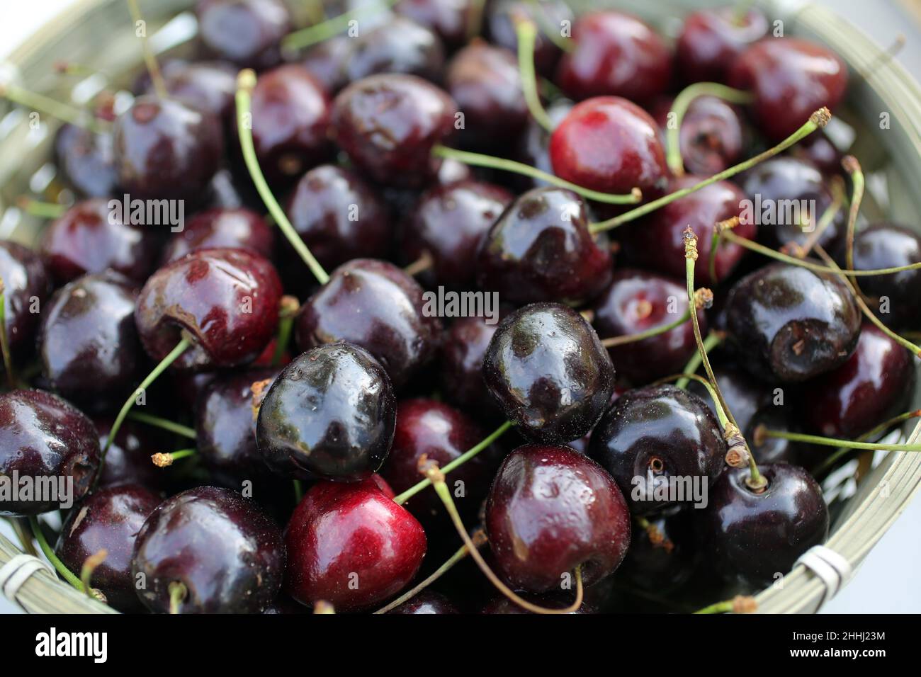 Cerises noires dans un bol,St Savin , Dept 86, Poitou-Charente, France Banque D'Images