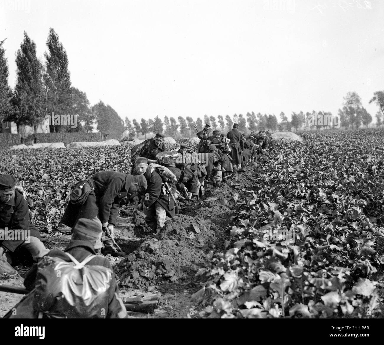 Des soldats belges ont vu ici creuser des tranchées avant la ville d'Audeghem et installer des mitrailleuses avant la bataille .Septembre 25th 1914 Banque D'Images