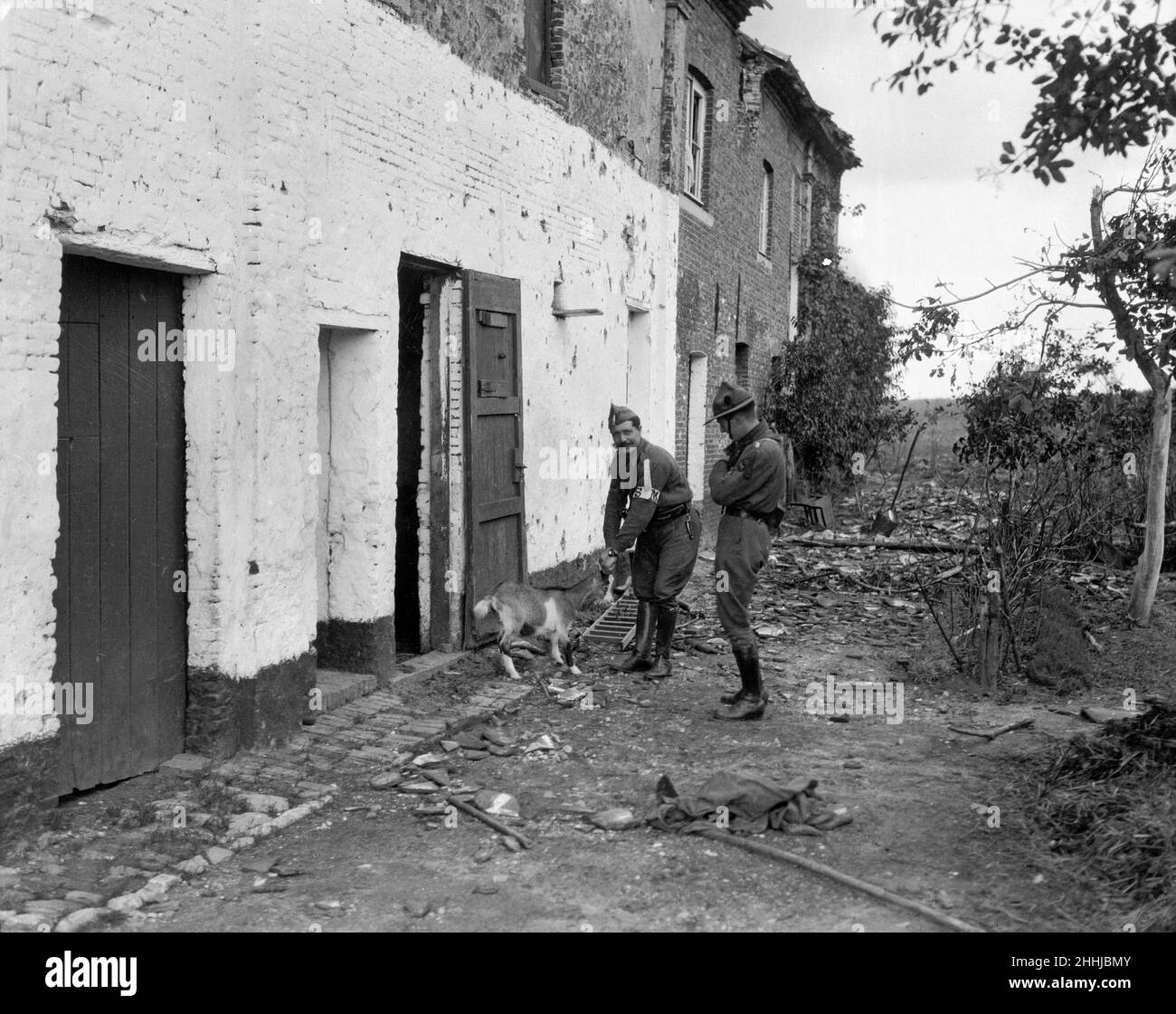 Boy Scout belge vu ici pour sauver des animaux des bâtiments abandonnés et brûlés près des Malines.Vers septembre 1914 Banque D'Images