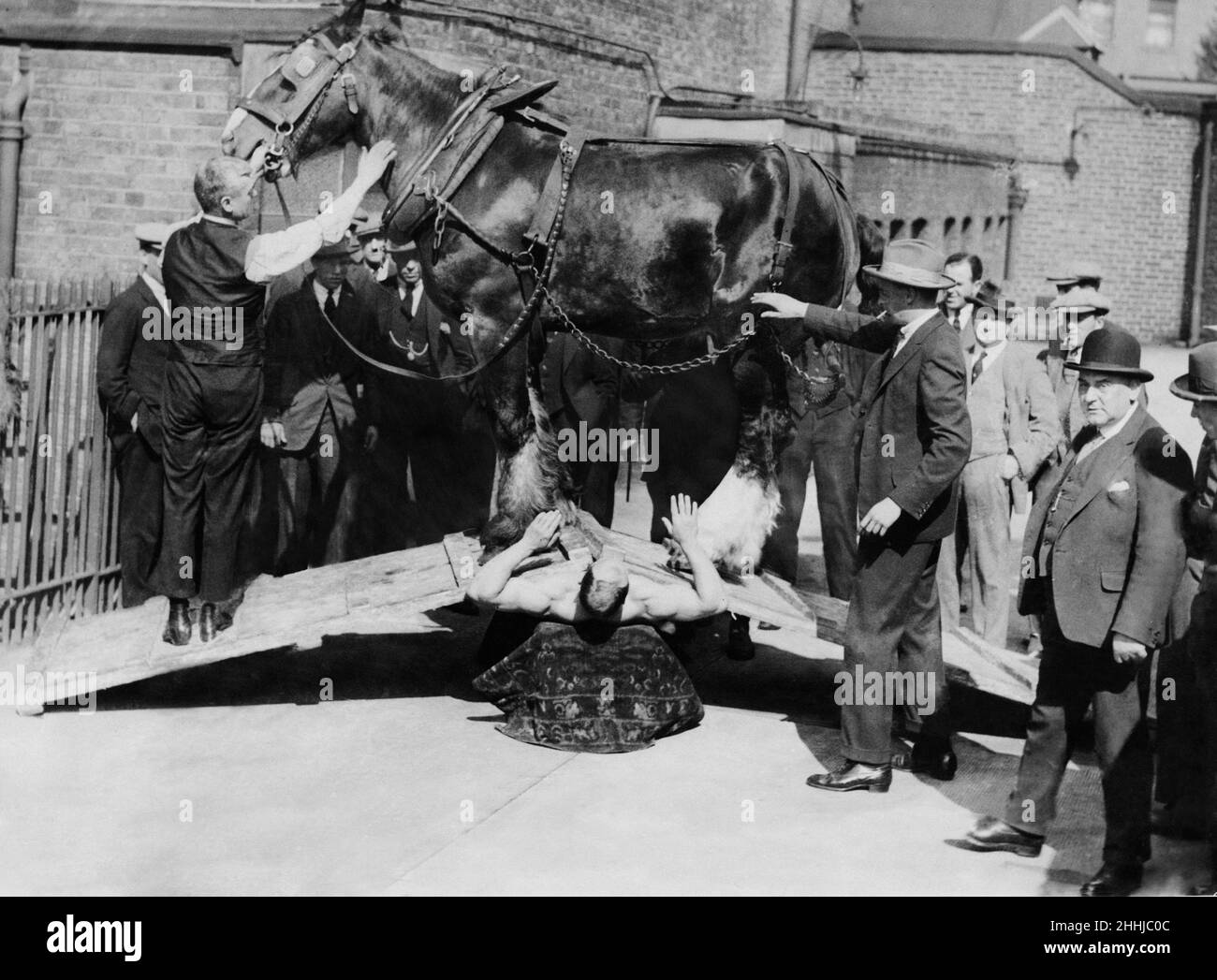 Samson fort homme avec Shire cheval sur sa poitrine.9th septembre 1924 Banque D'Images