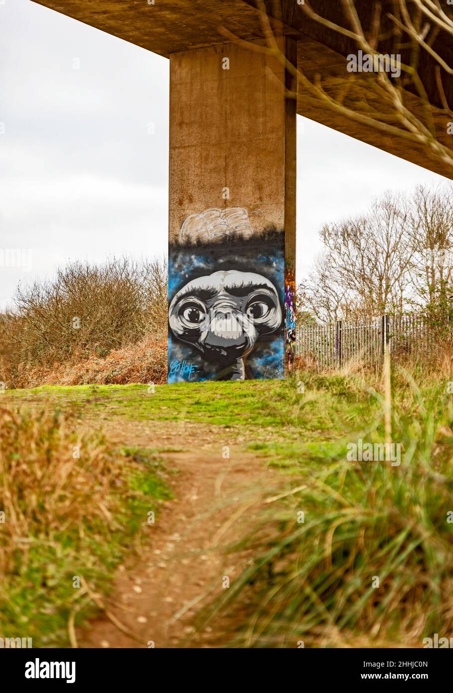 Street Art, et par « Dogz » sur le pont souterrain A30 à Hayle, Cornwall, Royaume-Uni Banque D'Images