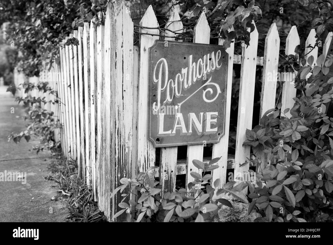 Panneau Poorhouse Lane sur la clôture de piquetage à Key West, Floride, FL USA.Destination de vacances sur l'île. Banque D'Images