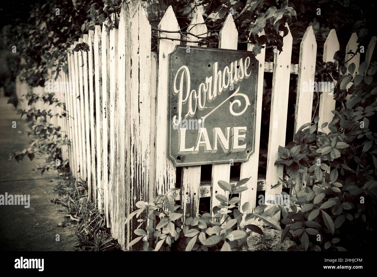 Panneau Poorhouse Lane sur la clôture de piquetage à Key West, Floride, FL USA.Destination de vacances sur l'île. Banque D'Images