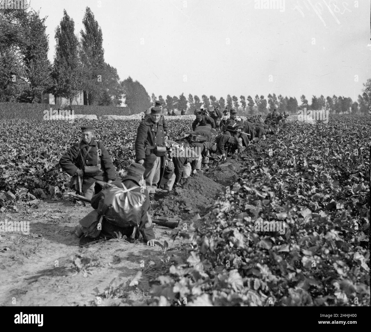 Des soldats belges ont vu ici creuser des tranchées avant la ville d'Audeghem et installer des mitrailleuses avant la bataille .Septembre 25th 1914 Banque D'Images