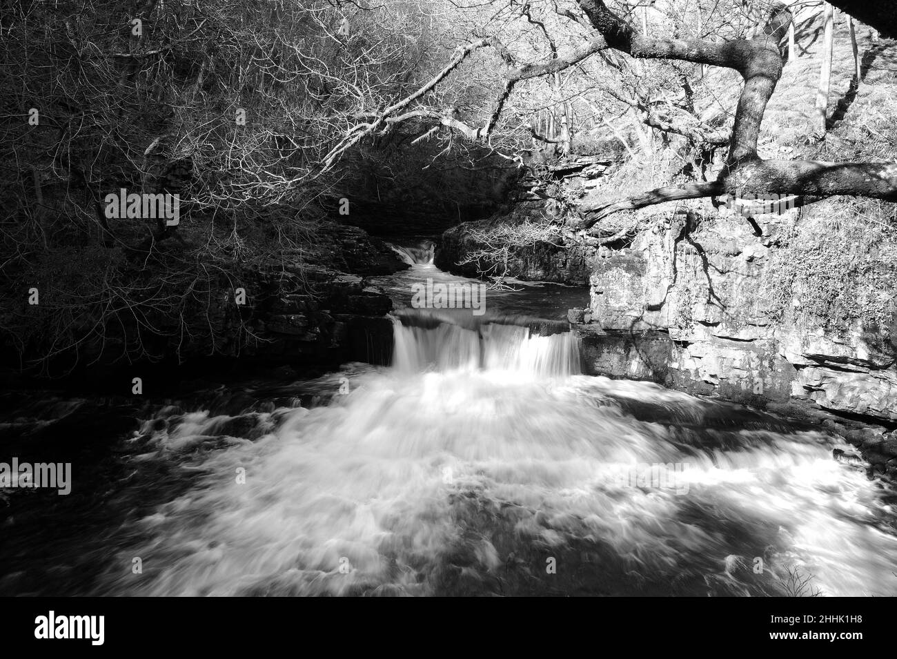 Dernière chute d'eau sur l'Afon Mellte.Juste en amont de l'ancienne poudre à canon fonctionne près de Pontneddfechan. Banque D'Images