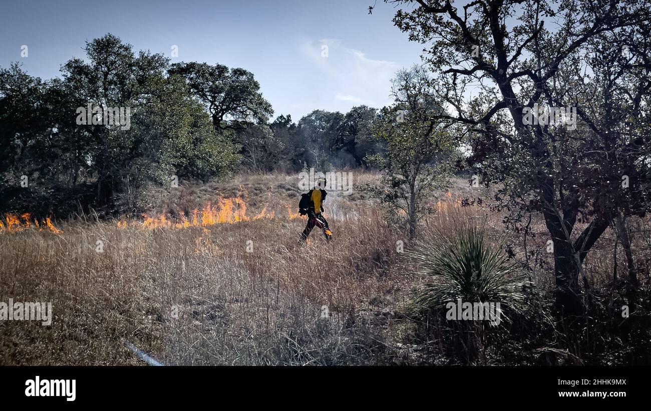 Base conjointe le Bureau des ressources naturelles de San Antonio, les Services d’incendie et d’urgence et les représentants de la Direction des incendies de forêt de la Force aérienne procèdent à un brûlage dirigé, le 19 janvier 2022, à la base conjointe San Antonio-Camp Bullis, Texas.Le processus sera axé sur plus de 1 700 acres de terres sauvages sur les Bullis de JBSA-Camp du 18 au 26 janvier.La combustion vise à réduire les charges de carburant, comme la végétation morte et le pinceau épais, ce qui réduira le risque de feux de forêt futurs, potentiellement catastrophiques.Le personnel des services d'urgence en cas d'incendie de la base commune de San Antonio a été coordonné avec le Bureau de la gestion des terres, le Fish and Wildlife Servi Banque D'Images