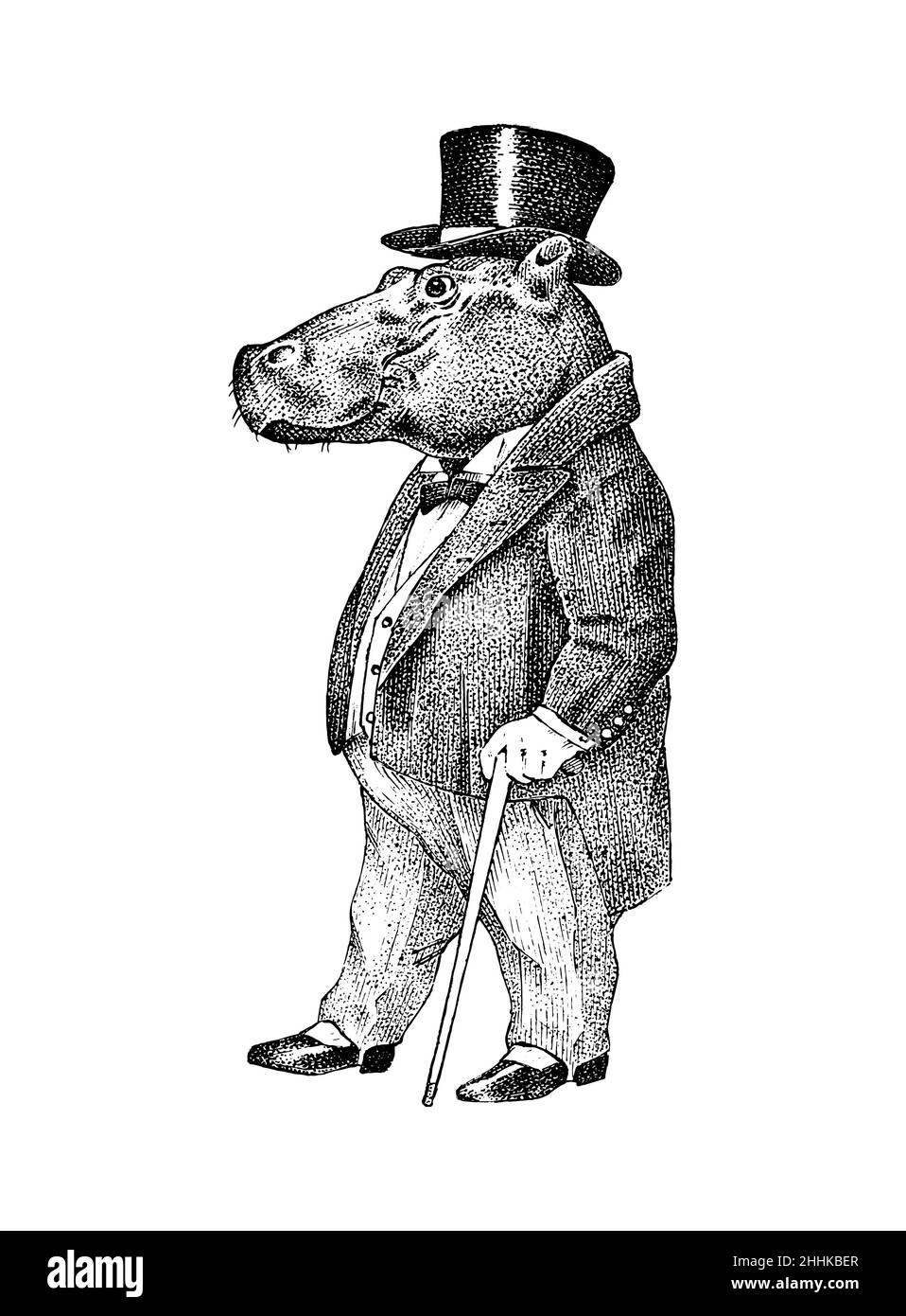 Hippopotame tendance.Homme antique dans une veste et un chapeau.Vêtements rétro anciens de style victorien.Un homme en costume.Style de gravure vintage Illustration de Vecteur