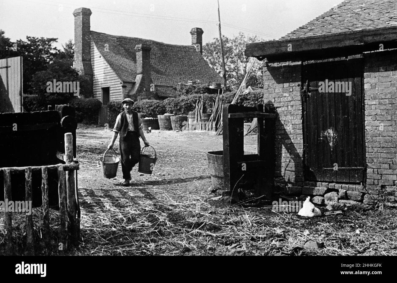 Le fermier marche vers la maison de poule à la ferme de l'église de la Chapelle, dans le Kent, pour recueillir des œufs fraîchement pondus.Vers 1935 Banque D'Images