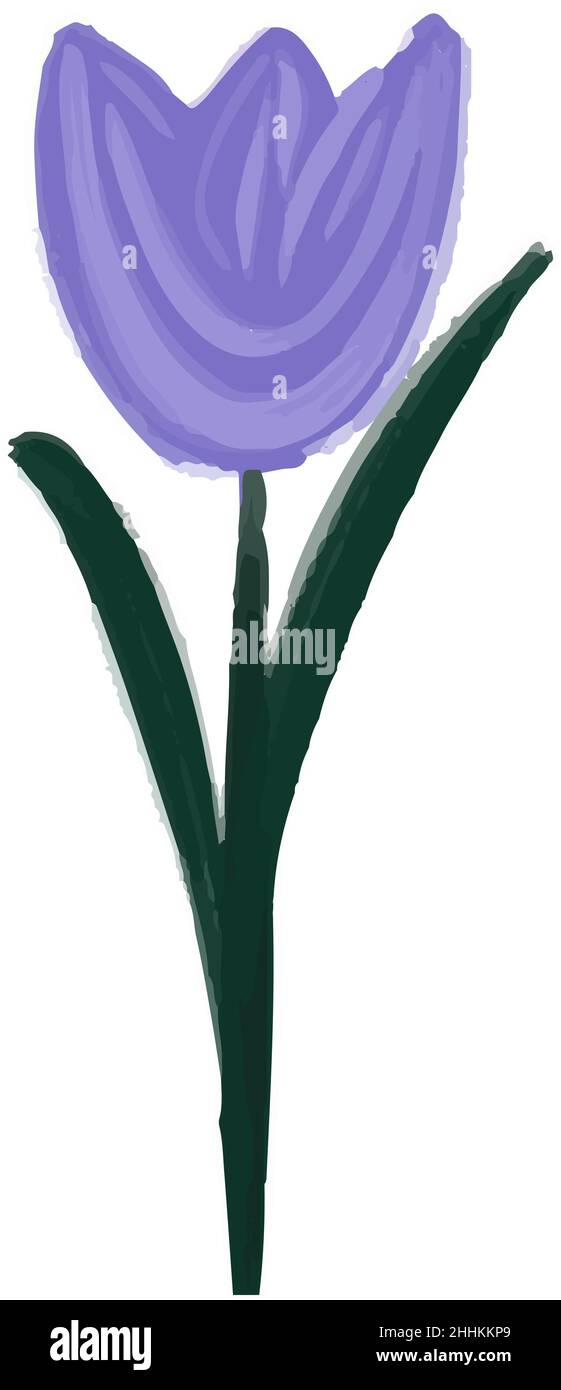 Résumé huile pourpre peinture tulipe.Illustration vectorielle dessinée à la main. Illustration de Vecteur