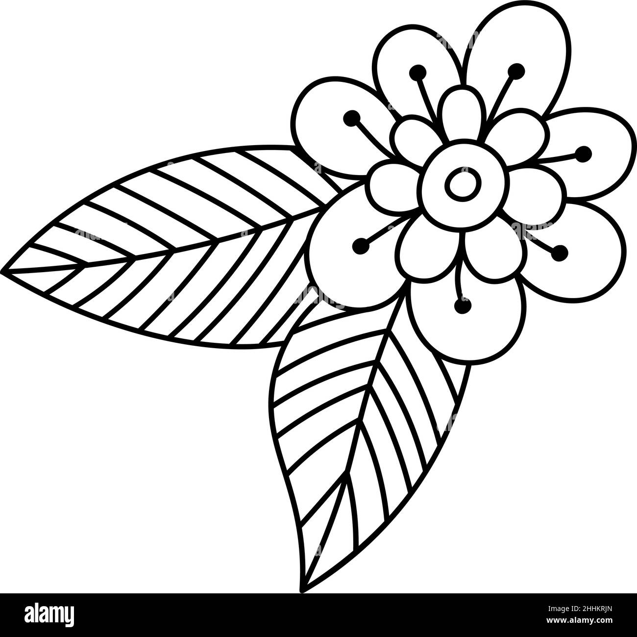 Ligne d'icônes de fleurs de Marguerite.Tisane.Dessin de contour de camomille pour le design, le logo, la carte postale, la décoration.Illustration vectorielle de style doodle isolée au dos Illustration de Vecteur