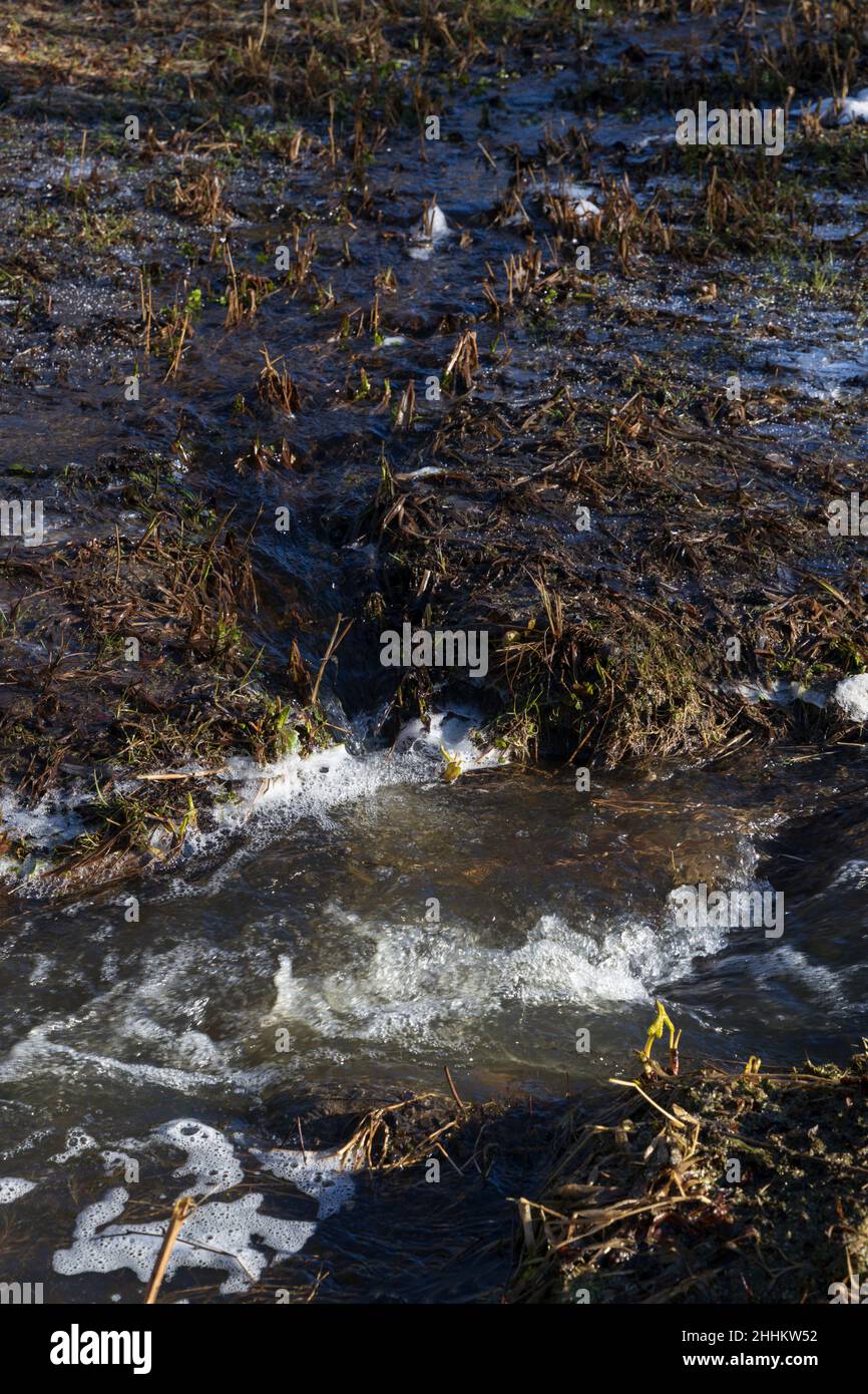Courant de source avec eau mousseuse et sol dégelé orientation verticale Banque D'Images