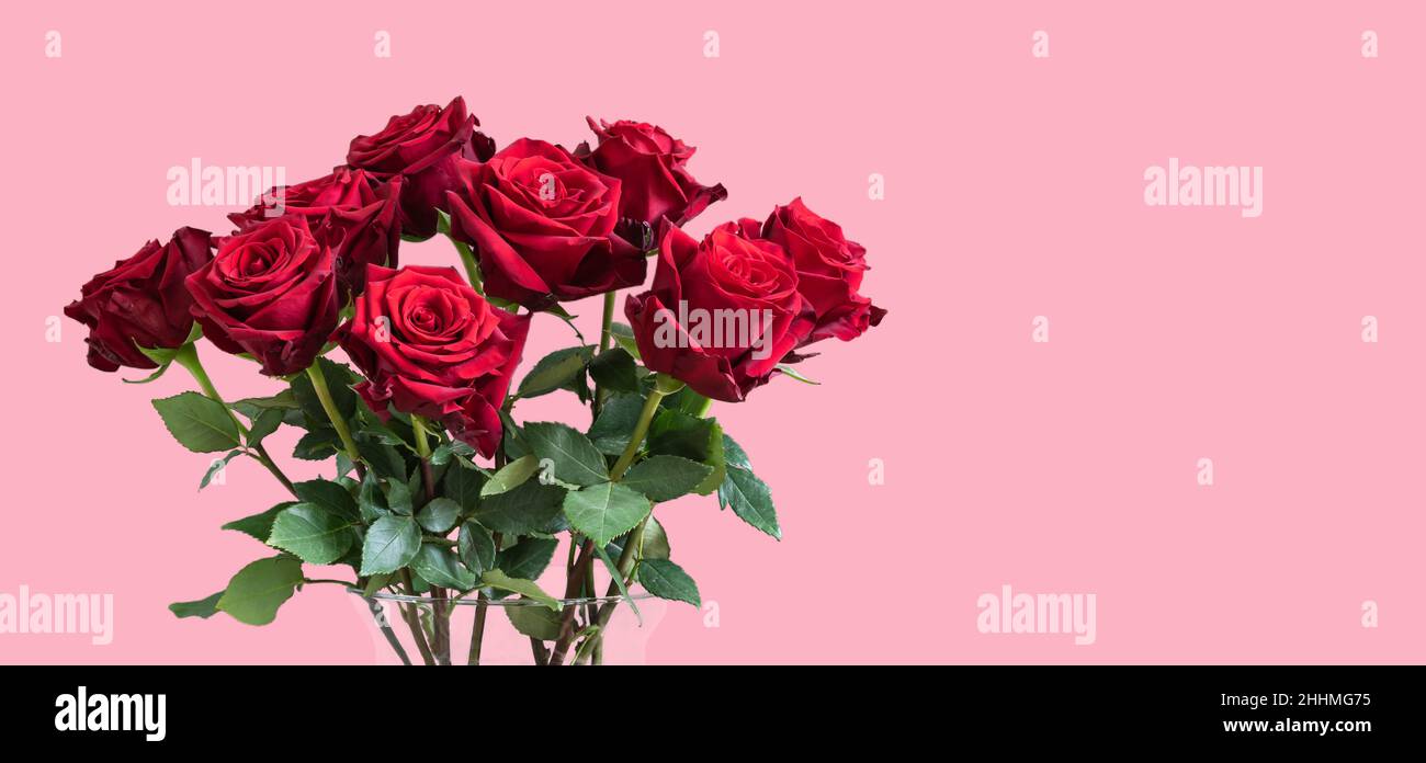 Bouquet de roses romantiques rouges sur fond rose. Banque D'Images