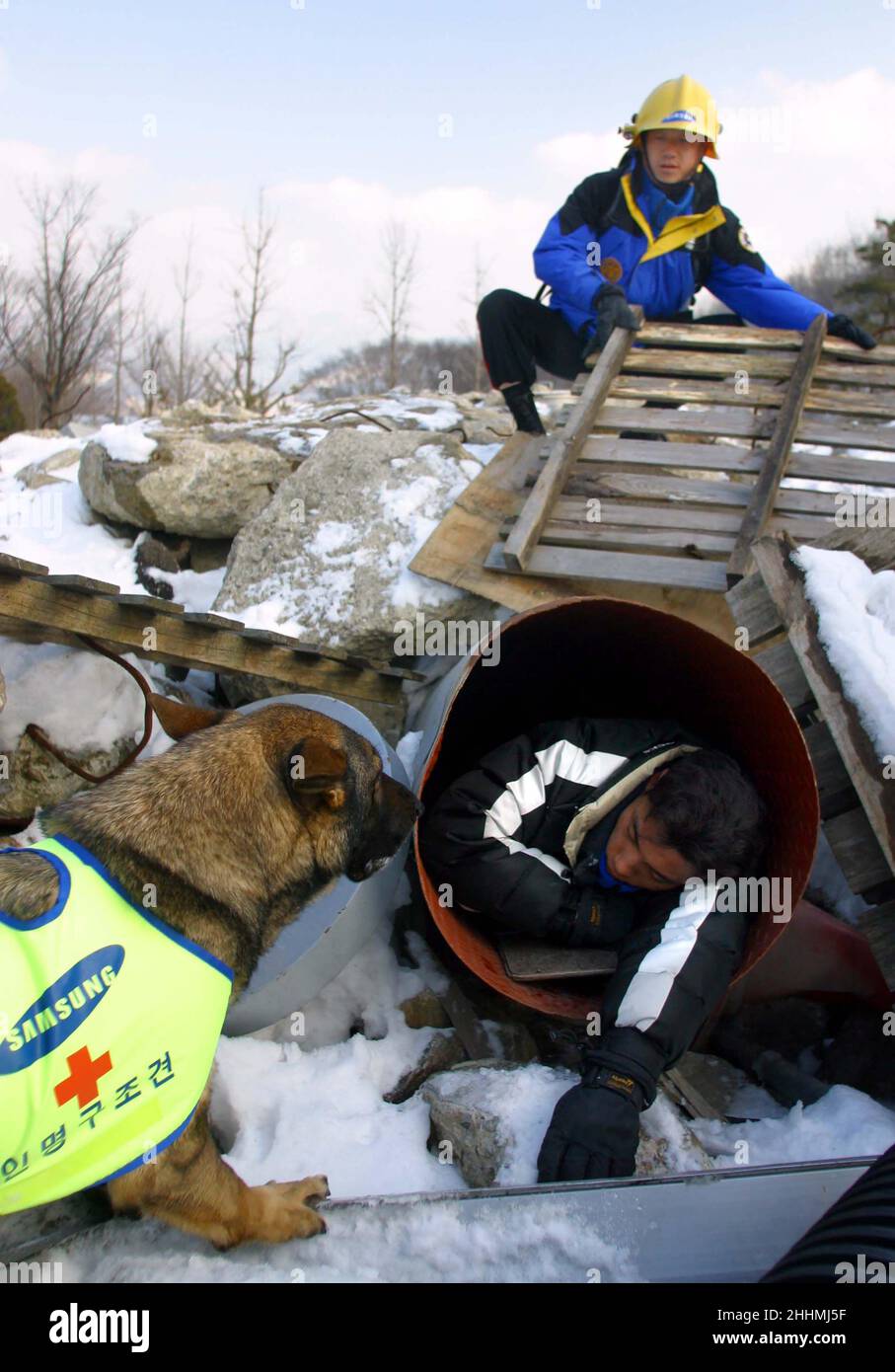 Formation en recherche et sauvetage au centre d'entraînement pour chiens Samsung.Suoth Corée.Photo : Gary Roberts Banque D'Images