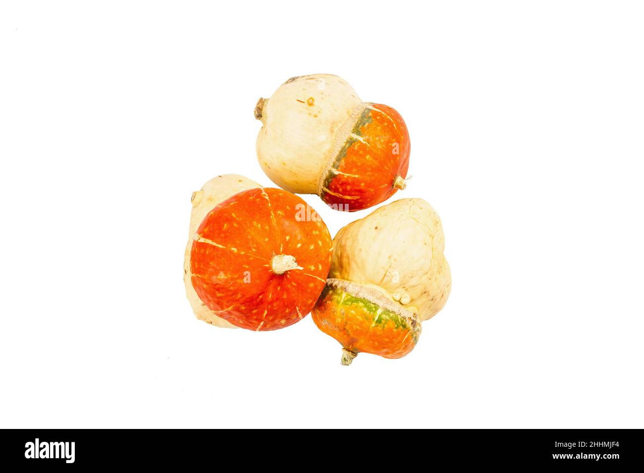 Citrouilles décoratives mûres isolées sur fond blanc.Courge Cucurbita maxima entière, élément décoratif traditionnel pour Halloween ou grâce Banque D'Images