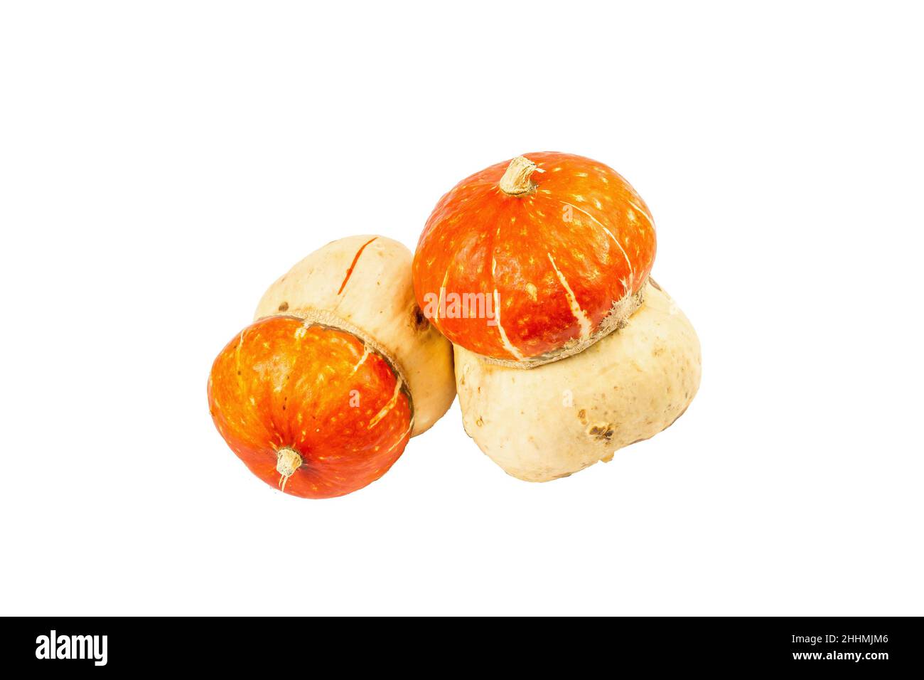 Citrouilles décoratives mûres isolées sur fond blanc.Courge Cucurbita maxima entière, élément décoratif traditionnel pour Halloween ou grâce Banque D'Images