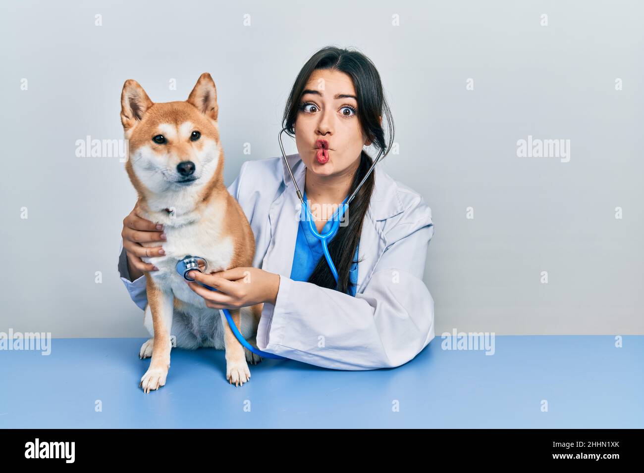 Belle femme hispanique vétérinaire contrôle de la santé de chien faisant le visage de poisson avec la bouche et les yeux de accroupi, fou et comique. Banque D'Images