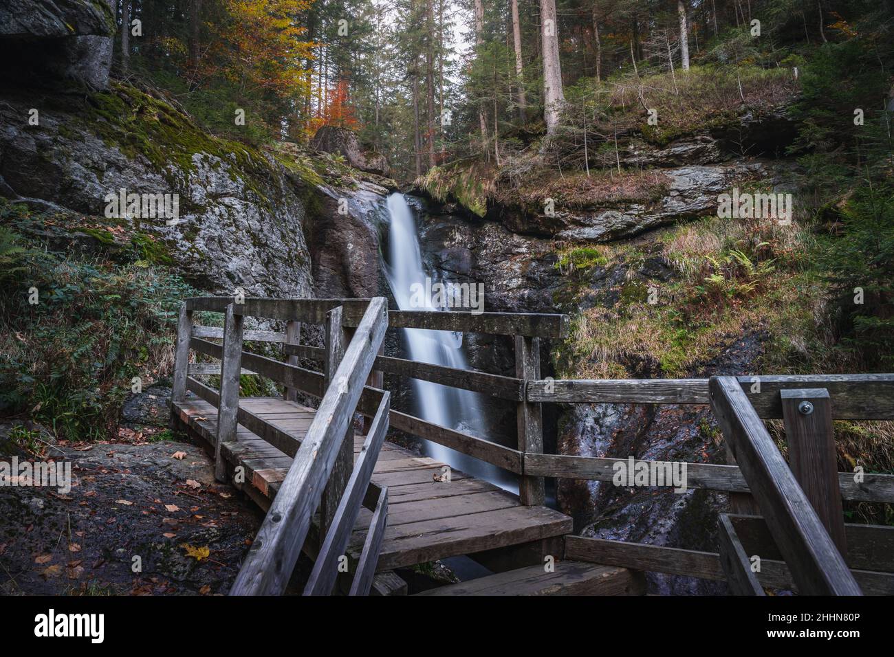 cascade dans la forêt.Cascade dans le parc national de la forêt bavaroise Forêt bavaroise. Banque D'Images