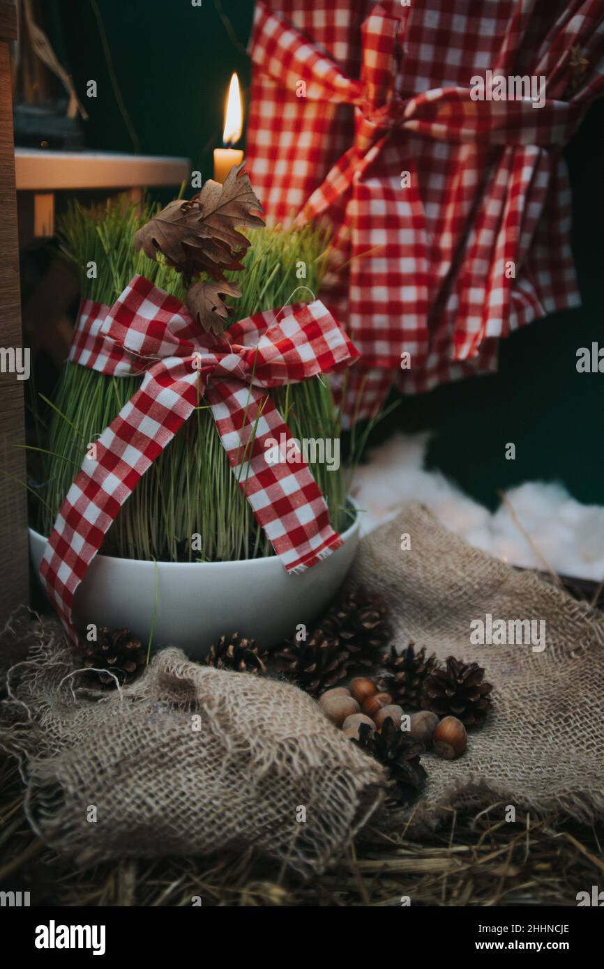 Un ruban à carreaux sur l'herbe dans un bol décoré avec des acorns et des cônes de pin sur la table Banque D'Images