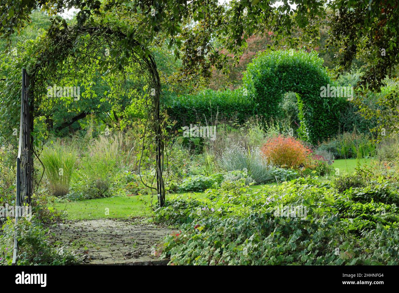 Garden Arch.Garden Arch ajoute un intérêt visuel et sert à diviser les zones entre un jardin boisé et des lits vivaces.Automne.ROYAUME-UNI Banque D'Images