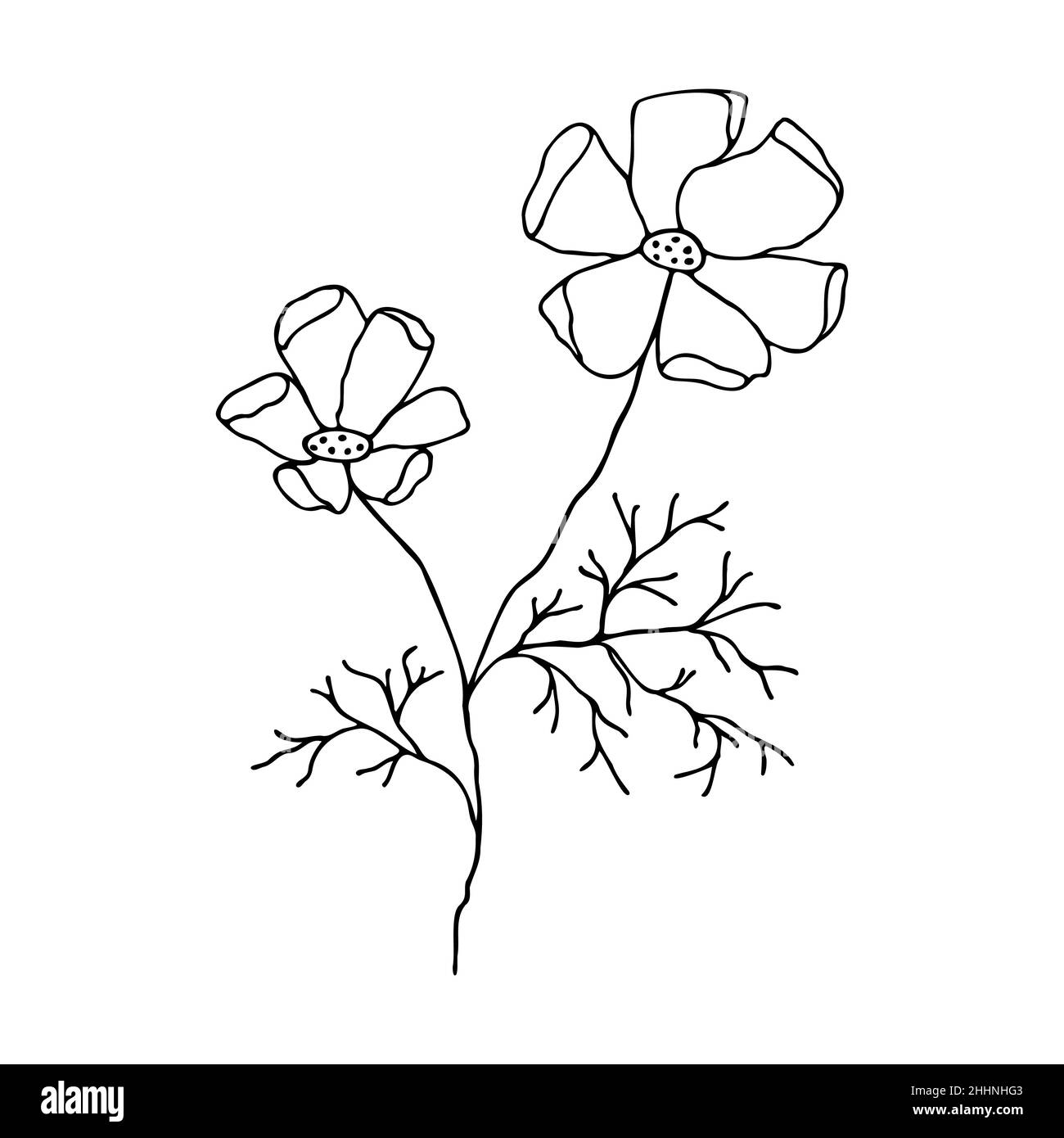 Magnifique dessin au trait avec fleur noire fantaisie dessinée à la main sur fond blanc.Style de mise en plan de ligne.Illustration vectorielle isolée.Fleurs de printemps. Illustration de Vecteur