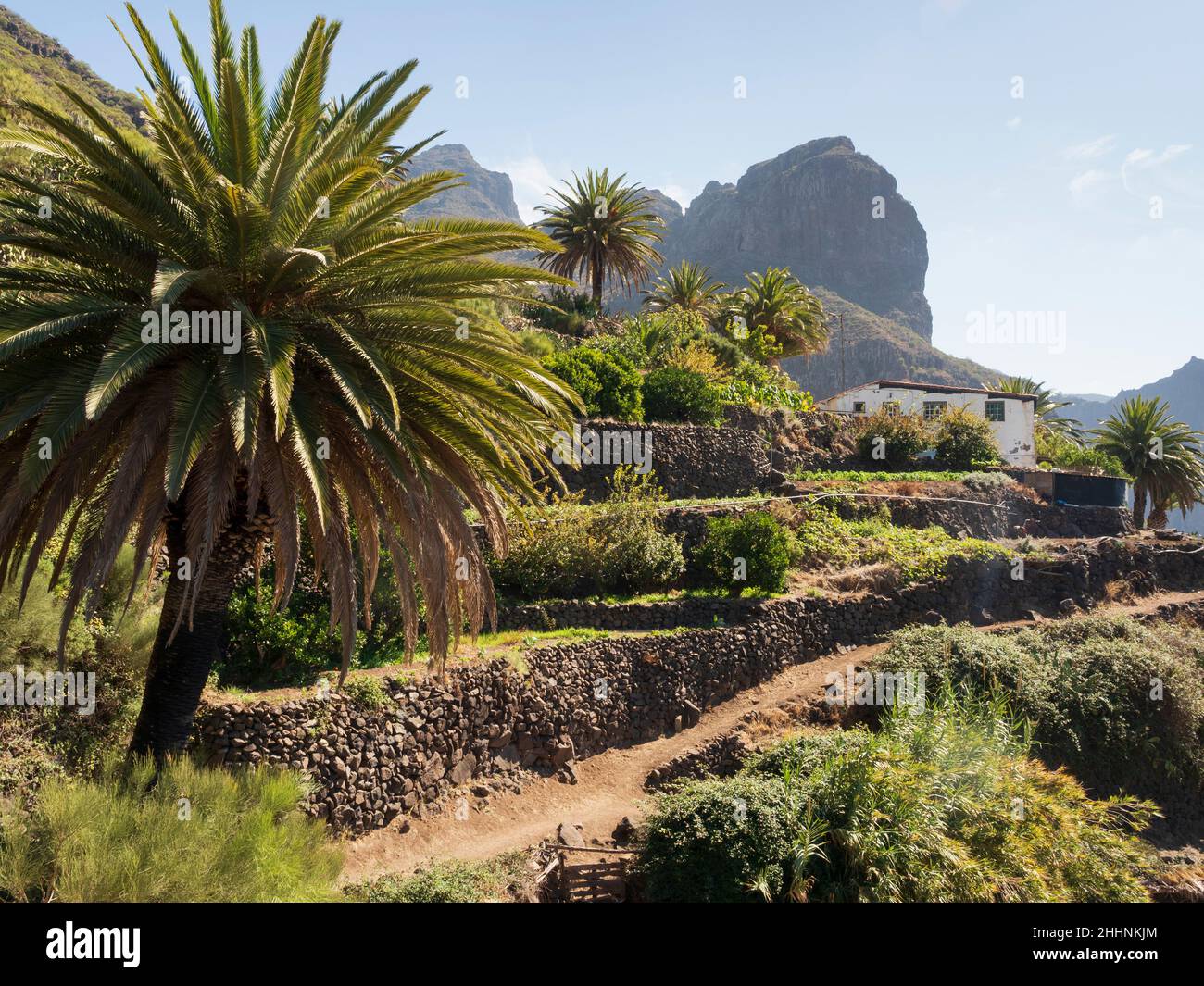 Masca Village, Teno Mountains, Tenerife, Iles Canaries.Une petite finca ou exploitation agricole. Banque D'Images