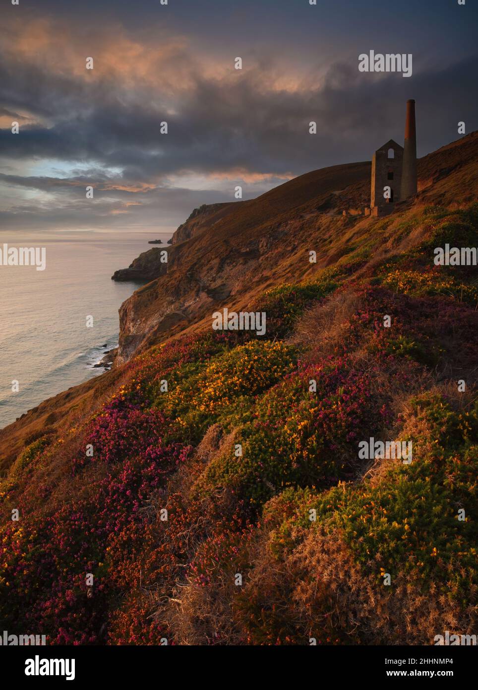 Papule Coates tin mine, St Agnes, Cornwall, UK Banque D'Images