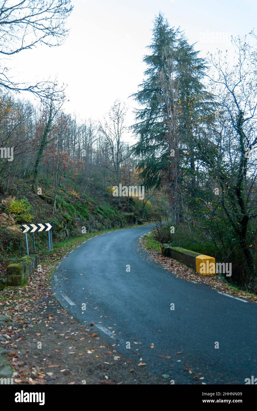 route de montagne avec une chaussée inégale avec un pont marqué de peinture jaune en automne Banque D'Images