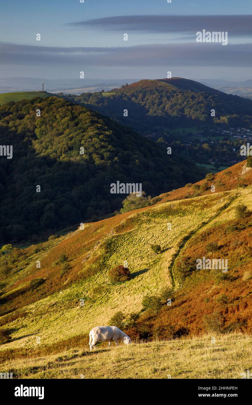 Vue depuis Caradoc, long Mynd, Shropshire Hills.ROYAUME-UNI Banque D'Images