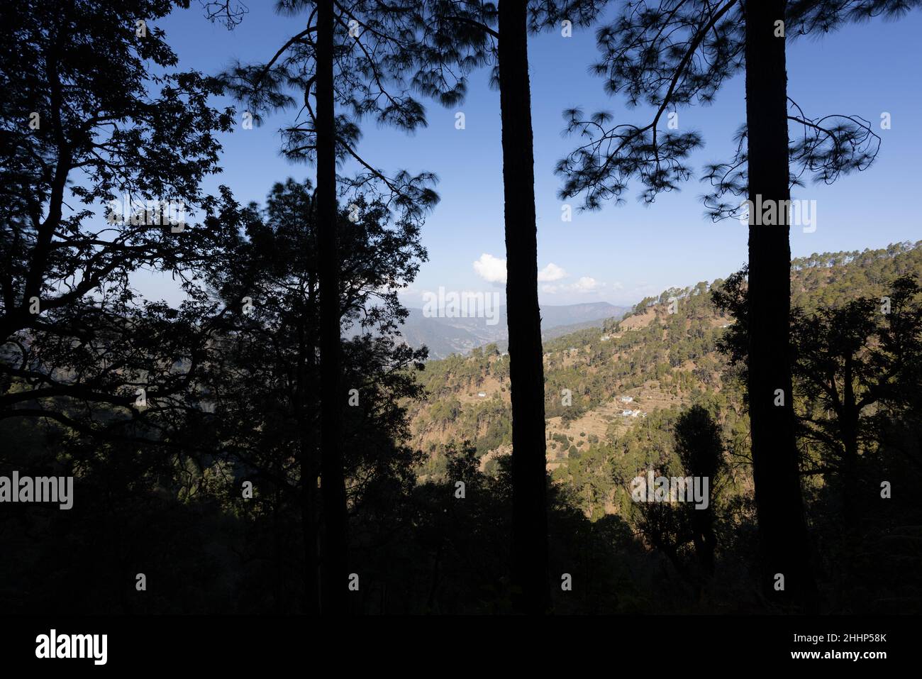 Vue sur le sanctuaire de la vie sauvage de Binsar - un petit village est vu à distance Banque D'Images