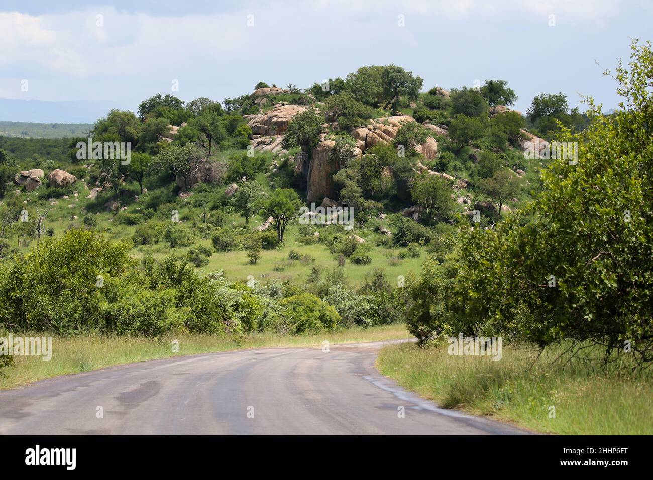 Paysage et paysage du parc national Kruger Banque D'Images