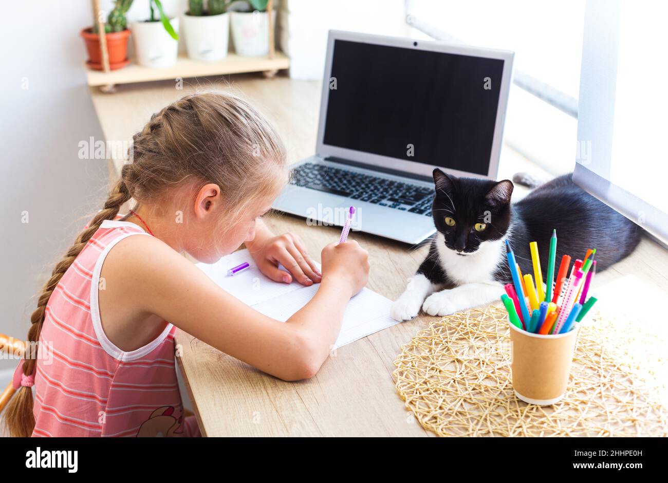 Caucasien mignonne fille d'école faisant des devoirs à la maison, écrivant ou dessin dans le bloc-notes, à côté de l'ordinateur portable, noir et blanc chat couché à proximité.Espace de travail confortable Banque D'Images