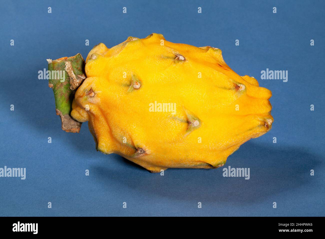 fruit dragon jaune sur fond bleu Banque D'Images