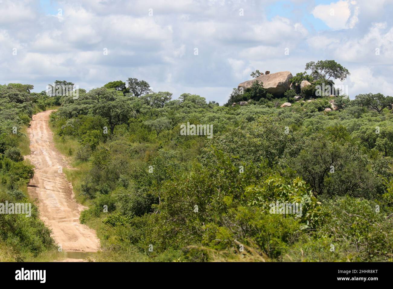 Paysage et paysage du parc national Kruger Banque D'Images