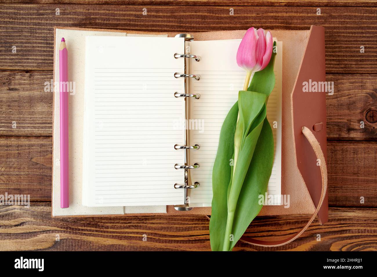 poser à plat à ressort avec tulipe, stylo et carnet sur bois. Banque D'Images