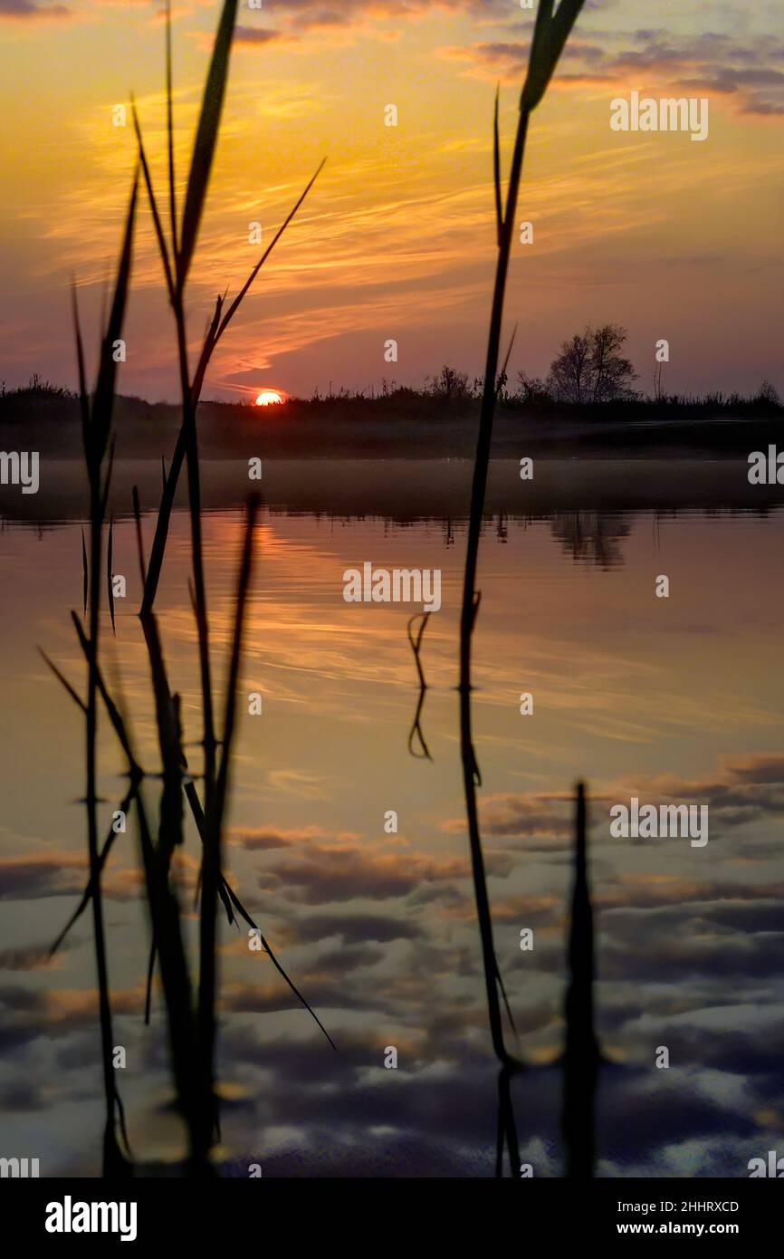 Baie de somme , marais en fond de baie, la vallée de la somme Banque D'Images