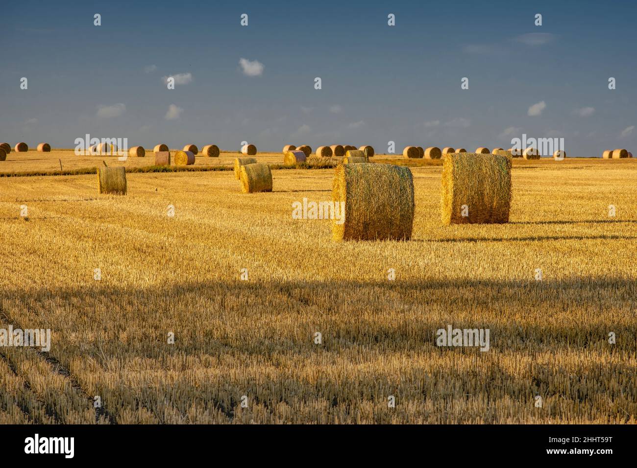 champs dans le nord de la France, routes de paille et labeurs Banque D'Images