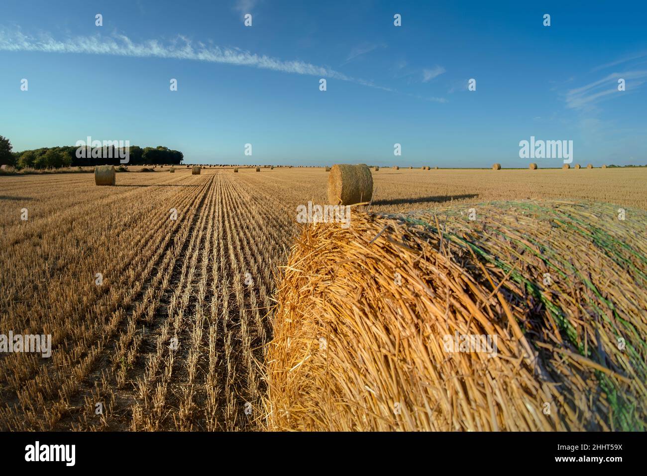 champs dans le nord de la France, routes de paille et labeurs Banque D'Images