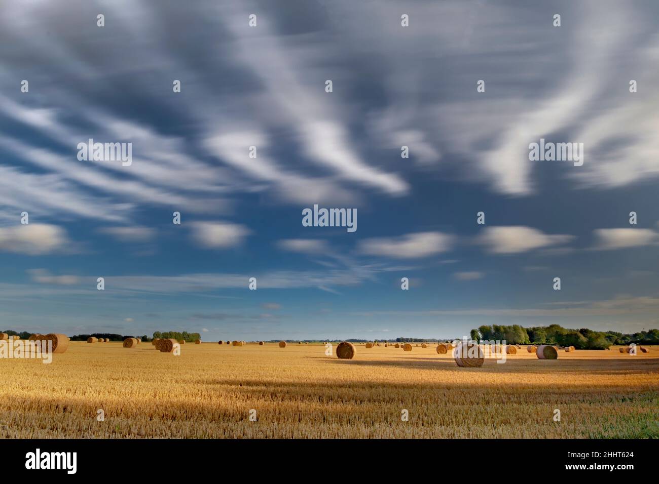 champs dans le nord de la France, routes de paille et labeurs Banque D'Images