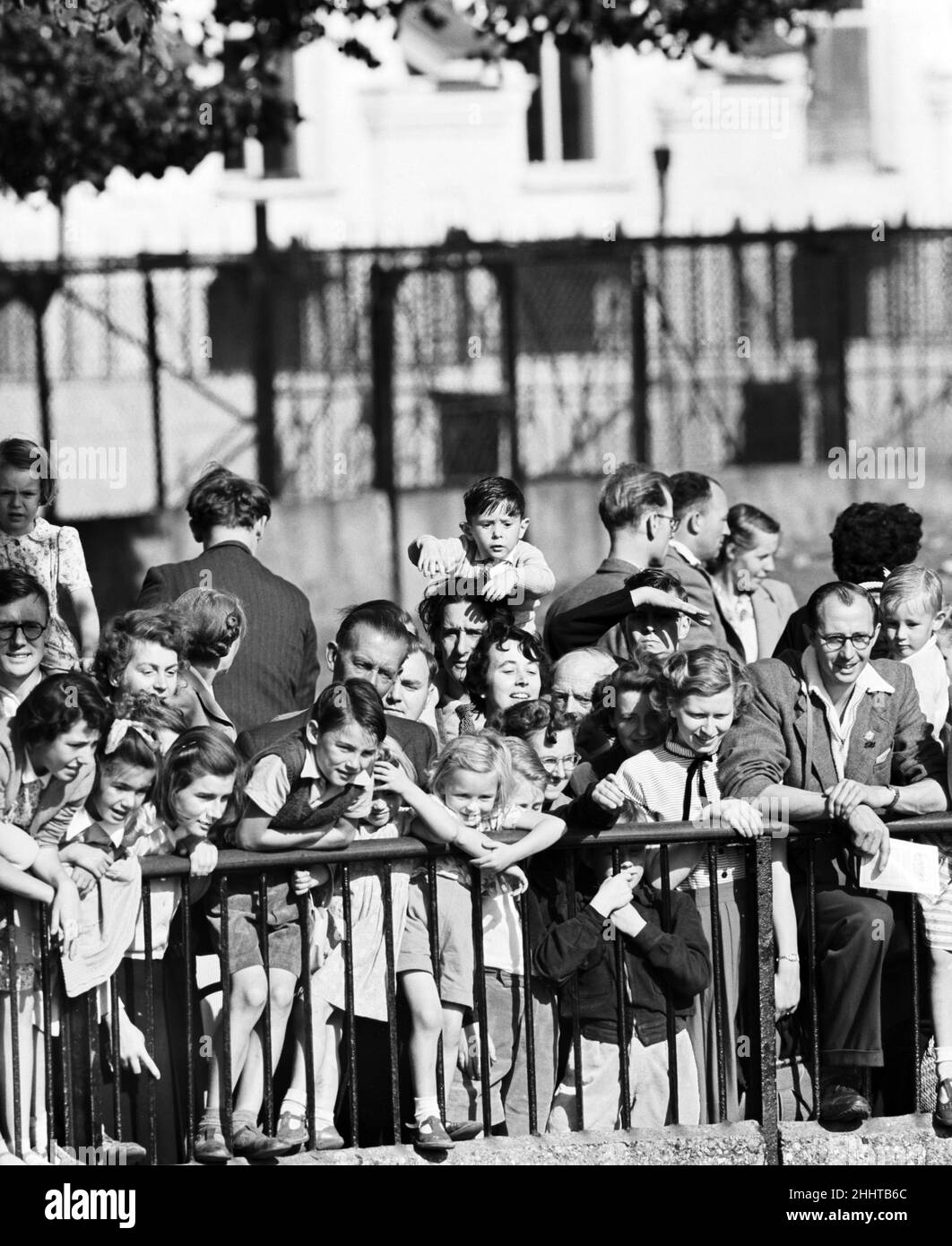 Enfants regardant les animaux au zoo de Londres.21st septembre 1953. Banque D'Images