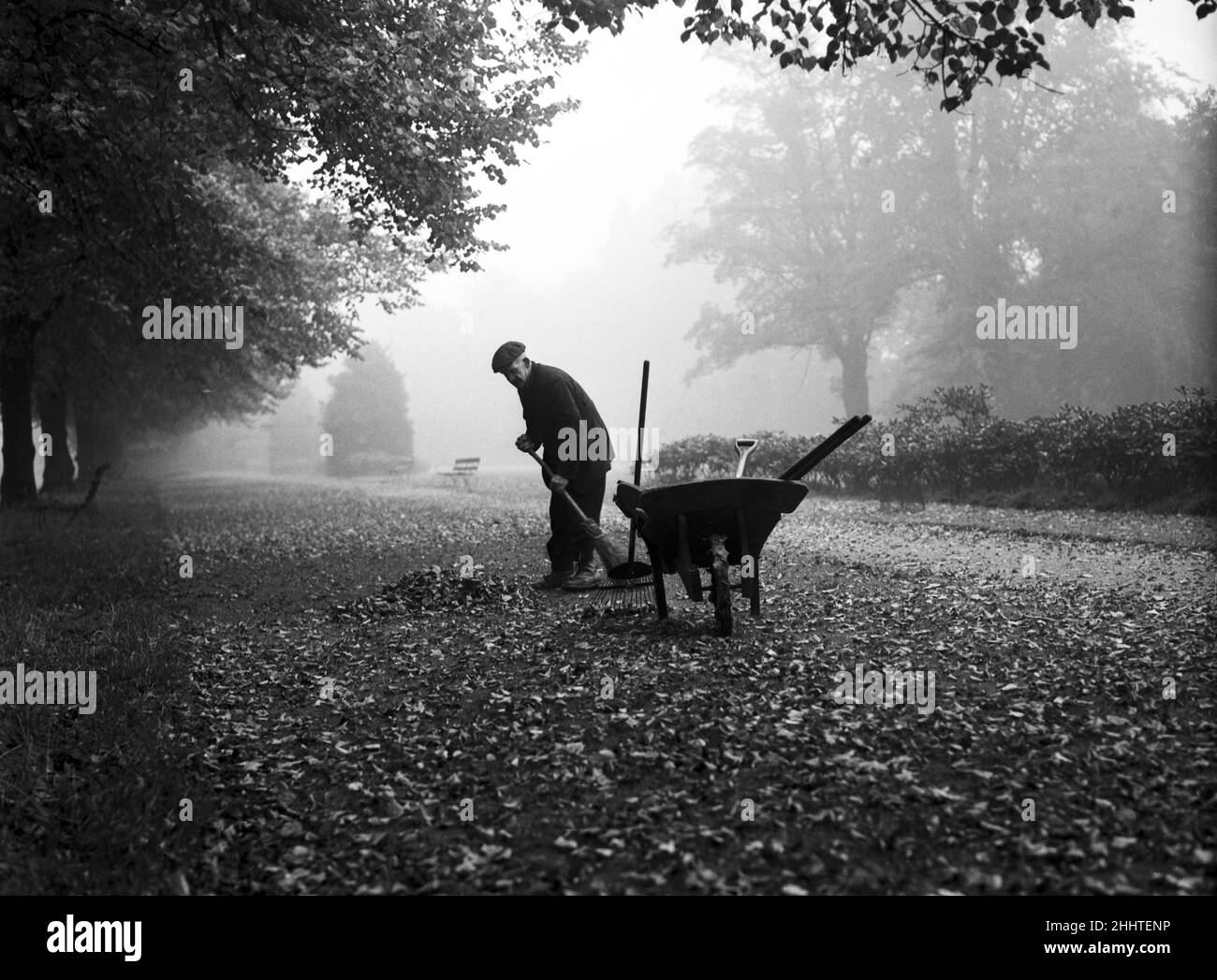 L'un des gardes-terrain du War Memorial Park, Coventry, balaie les feuilles d'automne tombées le matin brumeux d'octobre.Vers octobre 1950 Banque D'Images L'un des gardes-terrain du War Memorial Park, Coventry, balaie les feuilles d'automne tombées le matin brumeux d'octobre.Vers octobre 1950 Banque D'Images
