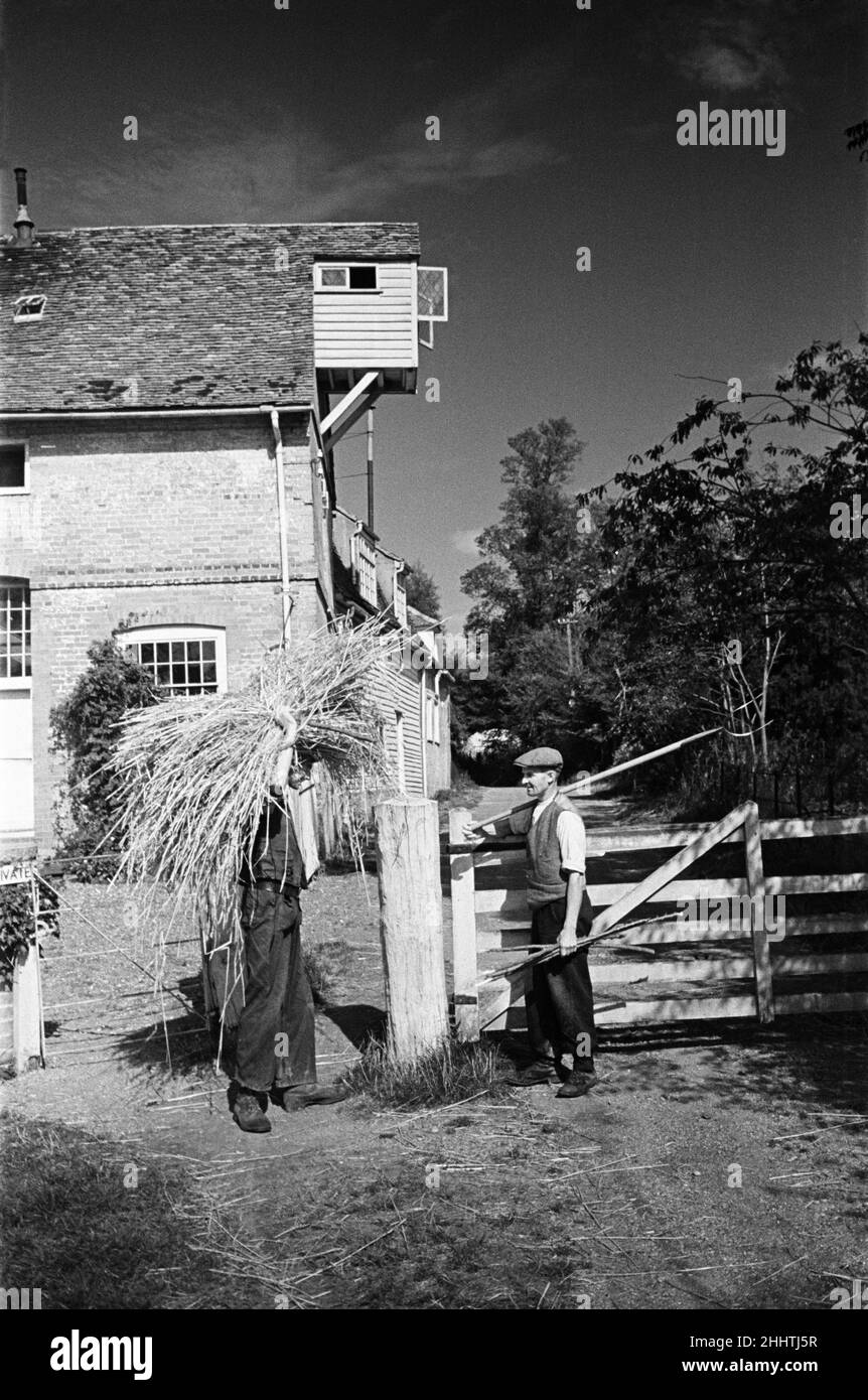 Deux hommes travaillent à Flatford Mill, sur le fleuve Stour, près de la frontière Suffolk-Essex.Le Moulin est présent dans de nombreuses peintures de John Constable.East Bergholt, Suffolk.Vers 1945. Banque D'Images
