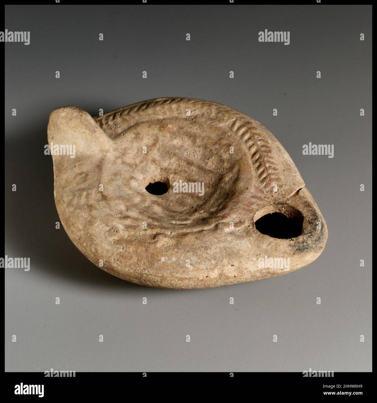 Os De L Avant Bras En 4 Lettres Lettres d'animaux Banque de photographies et d'images à haute résolution -  Alamy